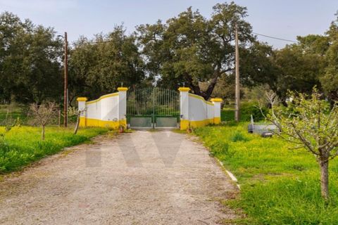 Gård i Santo Andre, Setubal, Santo Andre - € 1 250 000 | Ref: KWPT-032378 - foto 37