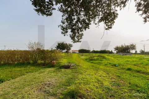 Gård i Santo Andre, Setubal, Santo Andre - € 1 250 000 | Ref: KWPT-032378 - foto 38
