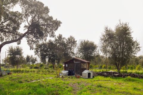 Gård i Santo Andre, Setubal, Santo Andre - € 1 250 000 | Ref: KWPT-032378 - foto 39