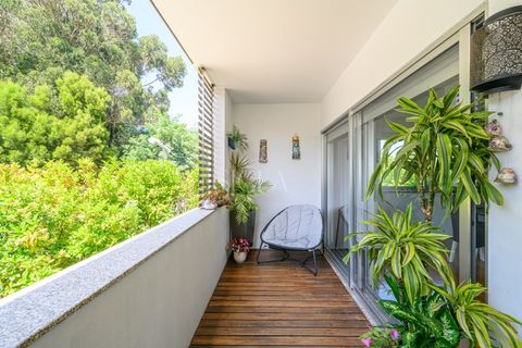 Villa i Oliveira do Douro, Porto, Oliveira do Douro - € 1.300.000 | Ref: 118/26 - foto 14