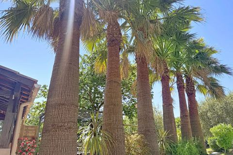 Villa i Bonson, Alpes-Maritimes, Bonson - € 560.000 | Ref: 87036983 - foto 6