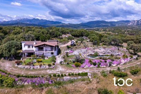 Villa i Telti, Olbia Tempio, Telti - € 980.000 | Ref: OL1342 - foto 2