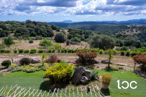 Villa i Telti, Olbia Tempio, Telti - € 980.000 | Ref: OL1342 - foto 16