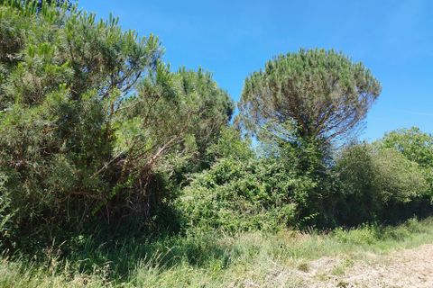 Terreno en Gratens, Haute-Garonne, Gratens - € 66.000 | Ref: 12828 - photo 1