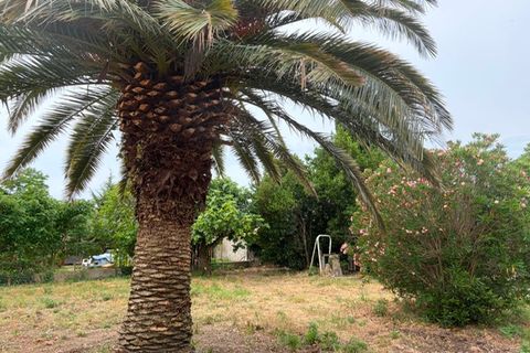 Villa a Bollène, Vaucluse, Bollène - € 270.000 | Ref: 84EV6586NP - foto 20