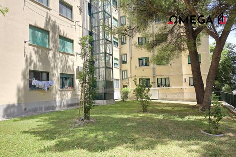 Lejlighed i Trieste, Trieste, Trieste - € 110.000 | Ref: Pinturicchio - foto 22