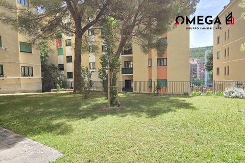 Lejlighed i Trieste, Trieste, Trieste - € 110.000 | Ref: Pinturicchio - foto 23