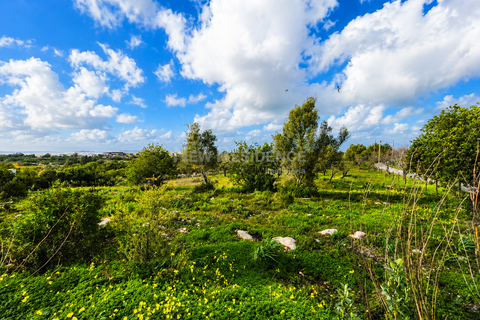Villa i Albufeira, Faro, Albufeira - € 1.750.000 | Ref: 00056 - foto 47