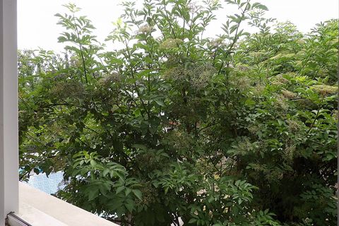 Villa a Bobigny, Seine-Saint-Denis, Bobigny - € 650.000 | Ref: 87075888 - foto 17