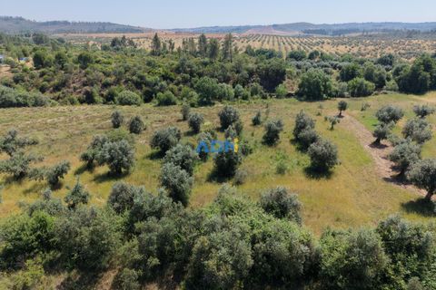 Helårsgrund i Castelo Branco, Castelo Branco, Castelo Branco - € 21.000 | Ref: 126031 - foto 1
