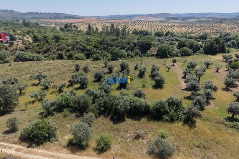 Helårsgrund i Castelo Branco, Castelo Branco, Castelo Branco - € 21.000 | Ref: 126031 - foto 2
