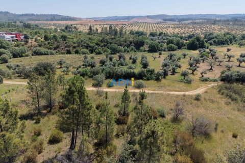 Helårsgrund i Castelo Branco, Castelo Branco, Castelo Branco - € 21.000 | Ref: 126031 - foto 3