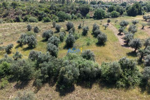 Helårsgrund i Castelo Branco, Castelo Branco, Castelo Branco - € 21.000 | Ref: 126031 - foto 4