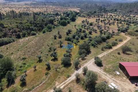 Helårsgrund i Castelo Branco, Castelo Branco, Castelo Branco - € 21.000 | Ref: 126031 - foto 5