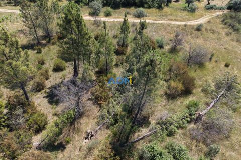 Helårsgrund i Castelo Branco, Castelo Branco, Castelo Branco - € 21.000 | Ref: 126031 - foto 6