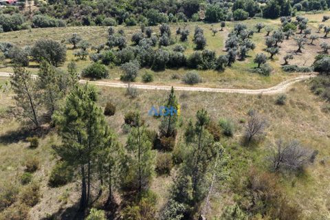 Helårsgrund i Castelo Branco, Castelo Branco, Castelo Branco - € 21.000 | Ref: 126031 - foto 7