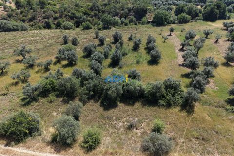 Helårsgrund i Castelo Branco, Castelo Branco, Castelo Branco - € 21.000 | Ref: 126031 - foto 8