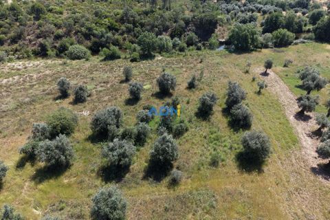 Helårsgrund i Castelo Branco, Castelo Branco, Castelo Branco - € 21.000 | Ref: 126031 - foto 10