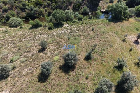 Helårsgrund i Castelo Branco, Castelo Branco, Castelo Branco - € 21.000 | Ref: 126031 - foto 11