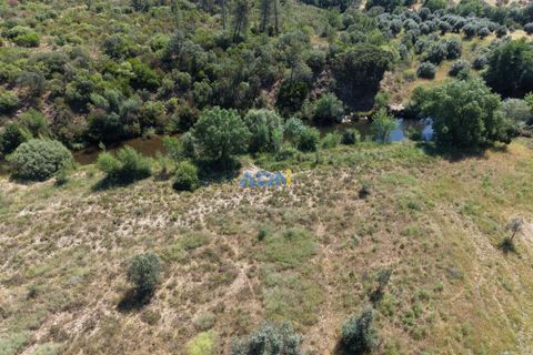 Helårsgrund i Castelo Branco, Castelo Branco, Castelo Branco - € 21.000 | Ref: 126031 - foto 12