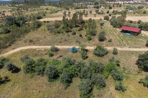 Helårsgrund i Castelo Branco, Castelo Branco, Castelo Branco - € 21.000 | Ref: 126031 - foto 13