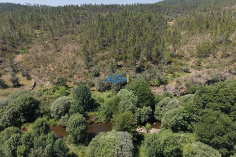 Helårsgrund i Castelo Branco, Castelo Branco, Castelo Branco - € 15.000 | Ref: 126032 - foto 3