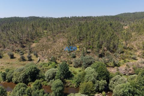 Helårsgrund i Castelo Branco, Castelo Branco, Castelo Branco - € 15.000 | Ref: 126032 - foto 4