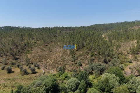 Helårsgrund i Castelo Branco, Castelo Branco, Castelo Branco - € 15.000 | Ref: 126032 - foto 7