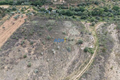Helårsgrund i Castelo Branco, Castelo Branco, Castelo Branco - € 26.000 | Ref: 126030 - foto 4