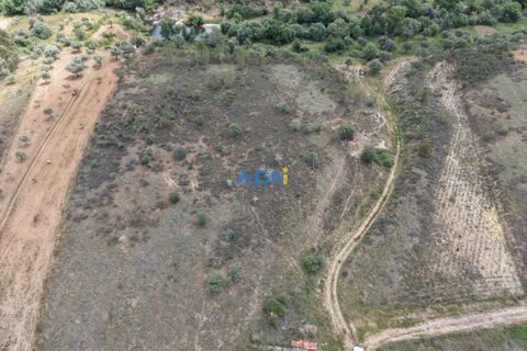 Helårsgrund i Castelo Branco, Castelo Branco, Castelo Branco - € 26.000 | Ref: 126030 - foto 7