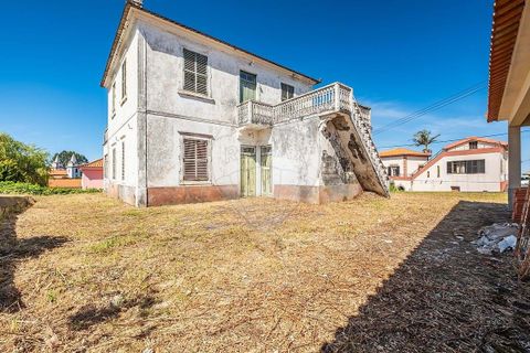 Villa i Calheta, Madeira, Calheta - € 397.000 | Ref: 123511056-348 - foto 3