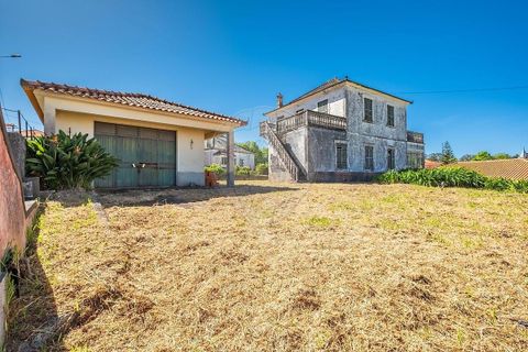Villa i Calheta, Madeira, Calheta - € 397.000 | Ref: 123511056-348 - foto 4