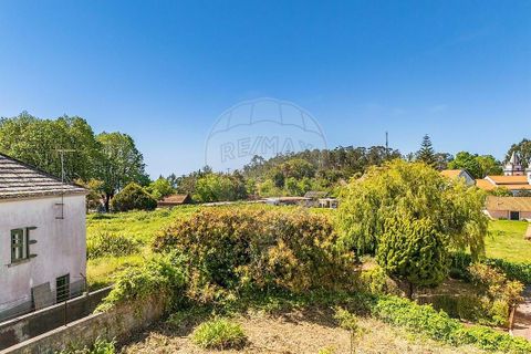 Villa i Calheta, Madeira, Calheta - € 397.000 | Ref: 123511056-348 - foto 34