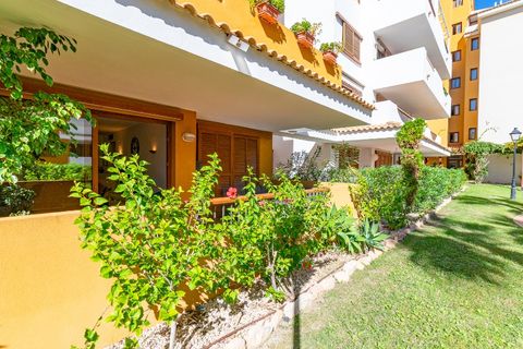 Apartamento en Punta Prima, Alicante, Punta Prima - € 260.000 | Ref: R-55190 - photo 35