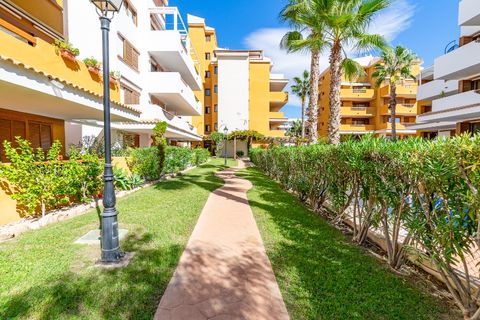 Apartamento en Punta Prima, Alicante, Punta Prima - € 260.000 | Ref: R-55190 - photo 37