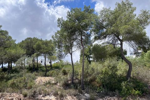 Helårsgrund i Jesus, Ibiza, Jesus - € 1.675.000 | Ref: Proyecto con licencia en Can Furnet - foto 16