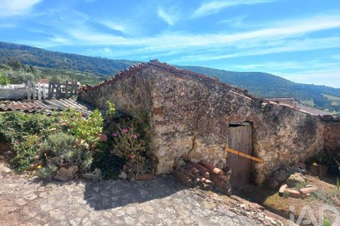 Erhvervsejendom i Cadaval, Lisbon, Cadaval - € 22.400 | Ref: 126089 - foto 2