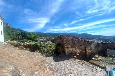 Erhvervsejendom i Cadaval, Lisbon, Cadaval - € 22.400 | Ref: 126089 - foto 9