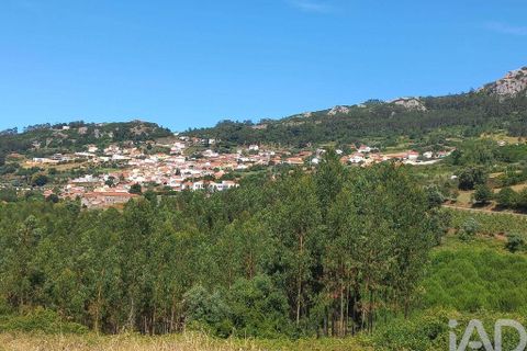 Erhvervsejendom i Cadaval, Lisbon, Cadaval - € 22.400 | Ref: 126089 - foto 14