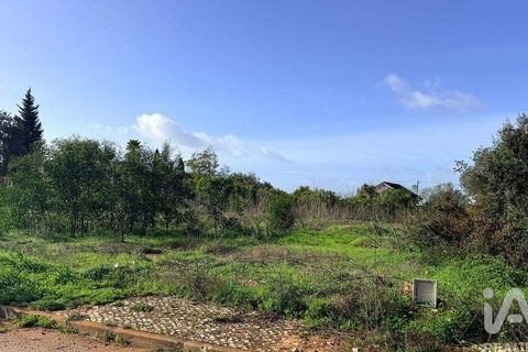 Terra a Silves, Faro, Silves - € 210.000 | Ref: 939455 - foto 3