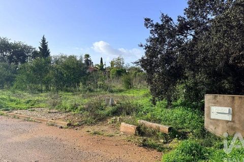 Terra a Silves, Faro, Silves - € 210.000 | Ref: 939455 - foto 4