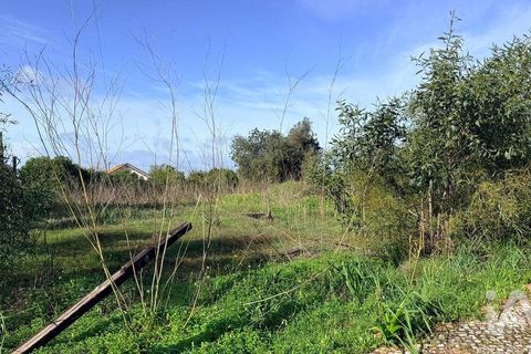 Terra a Silves, Faro, Silves - € 210.000 | Ref: 939455 - foto 5