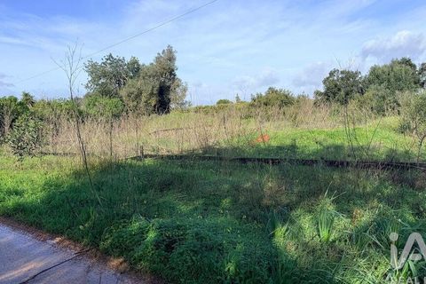 Terra a Silves, Faro, Silves - € 210.000 | Ref: 939455 - foto 6
