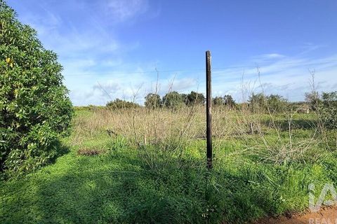 Terra a Silves, Faro, Silves - € 210.000 | Ref: 939455 - foto 7