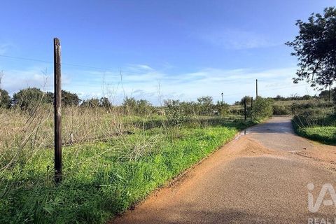 Terra a Silves, Faro, Silves - € 210.000 | Ref: 939455 - foto 8
