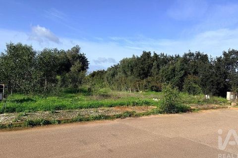 Terra a Silves, Faro, Silves - € 210.000 | Ref: 939455 - foto 9