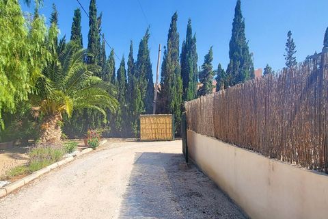 Villa a Novelda, Alicante, Novelda - € 280.000 | Ref: 2503 - foto 23