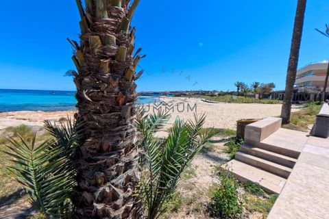 Leilighet i Sant Francesc De Formentera, Formentera, Sant Francesc De Formentera - € 320 000 | Ref: PFOR02V - foto 19