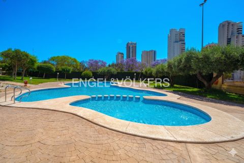 Lejlighed i Benidorm, Alicante, Benidorm - € 330.000 | Ref: W-049WHN - foto 34