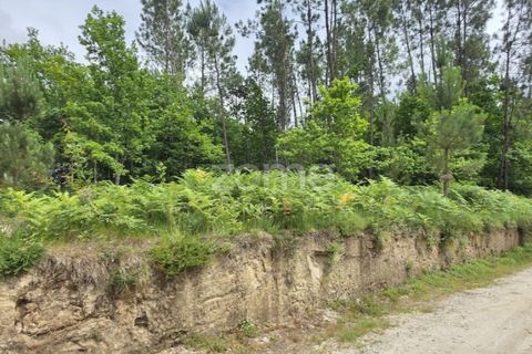 Helårsgrund i Amares, Braga, Amares - € 95.000 | Ref: ZMPT589626 - foto 2